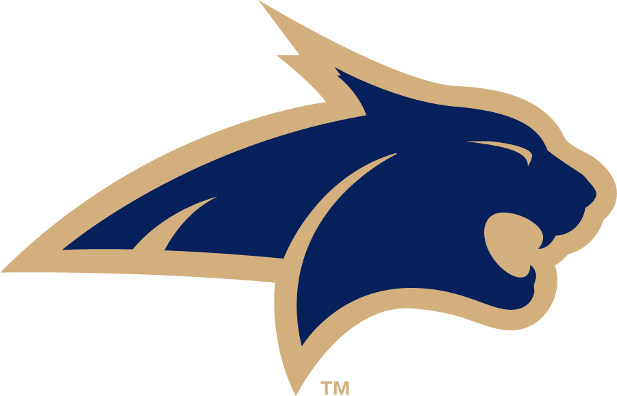 Montana State Bobcats 2006-2013 Alternate Logo v3 DIY iron on transfer (heat transfer)